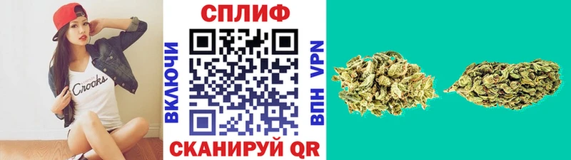 Канабис SATIVA & INDICA Спасск